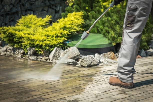 Trusted Tamaqua, PA Pressure Washing Services Experts